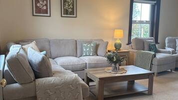 TV, fireplace, DVD player, books