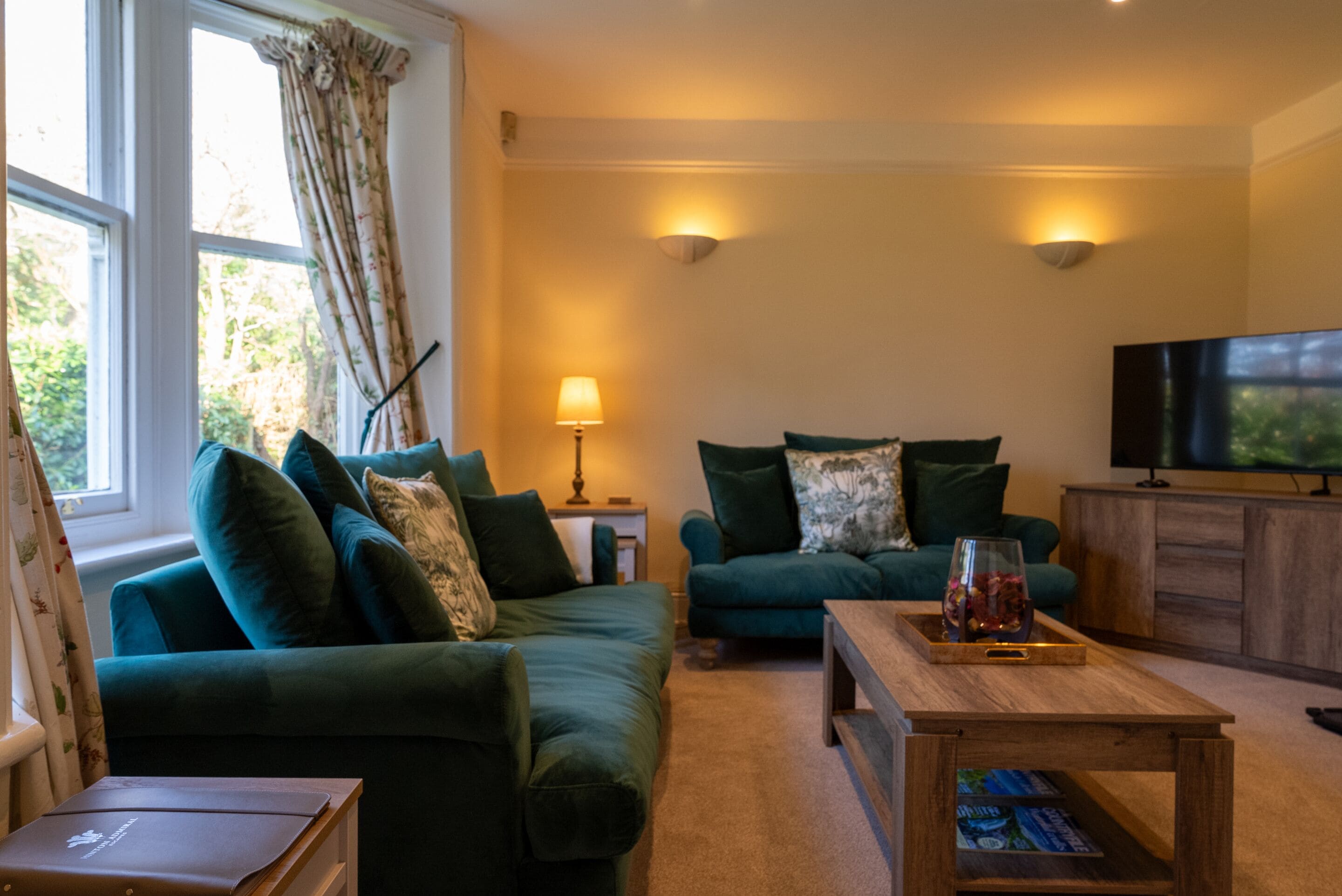 TV, caminetto, lettore DVD, libri