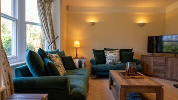 TV, fireplace, DVD player, books