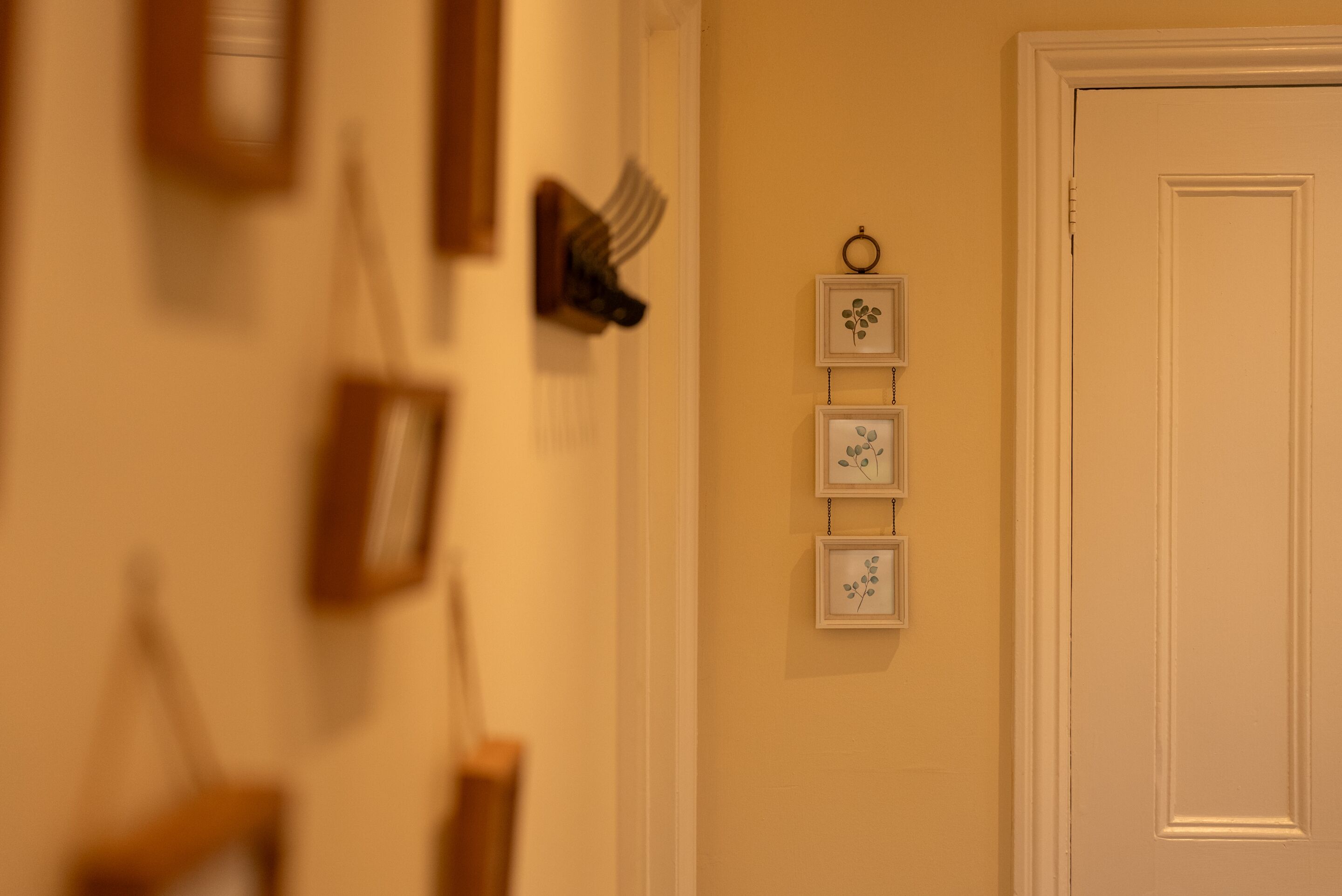 A hallway with a door on the right and framed pictures on the wall.