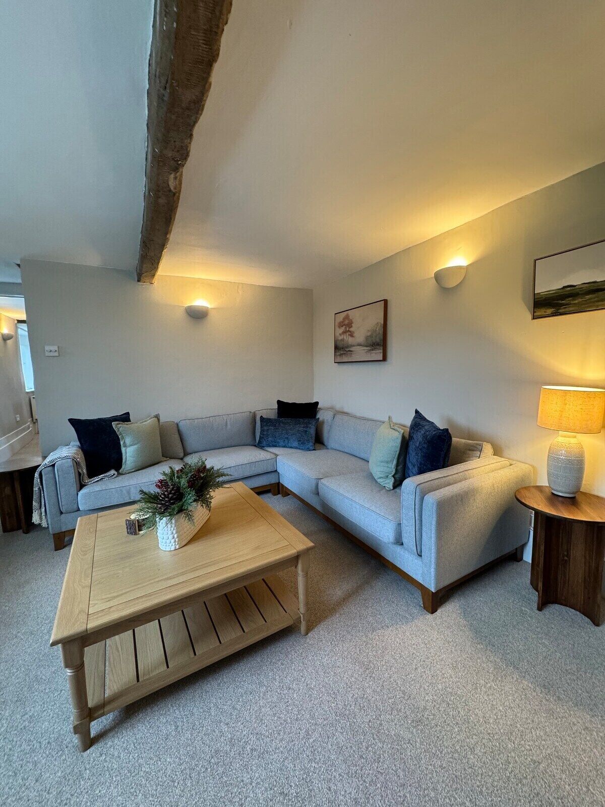 Televisio, takka, DVD-soitin, kirjoja