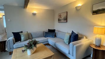 Televisio, takka, DVD-soitin, kirjoja