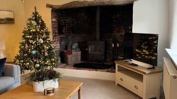 TV, fireplace, DVD player, books