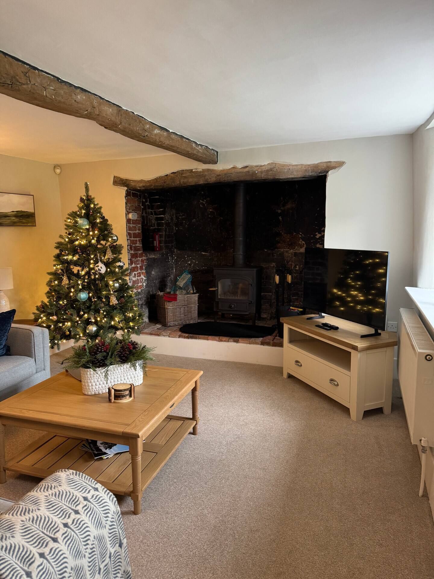 TV, fireplace, DVD player, books