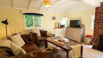 TV, fireplace, DVD player, books