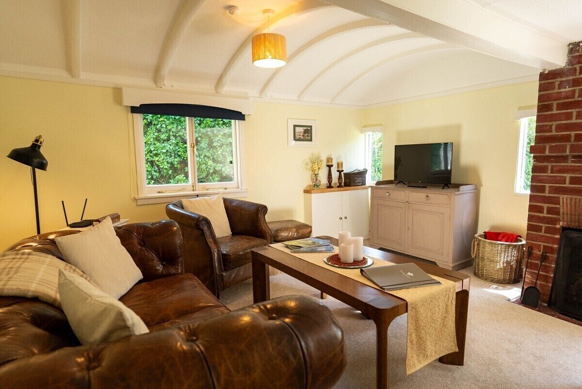 TV, fireplace, DVD player, books