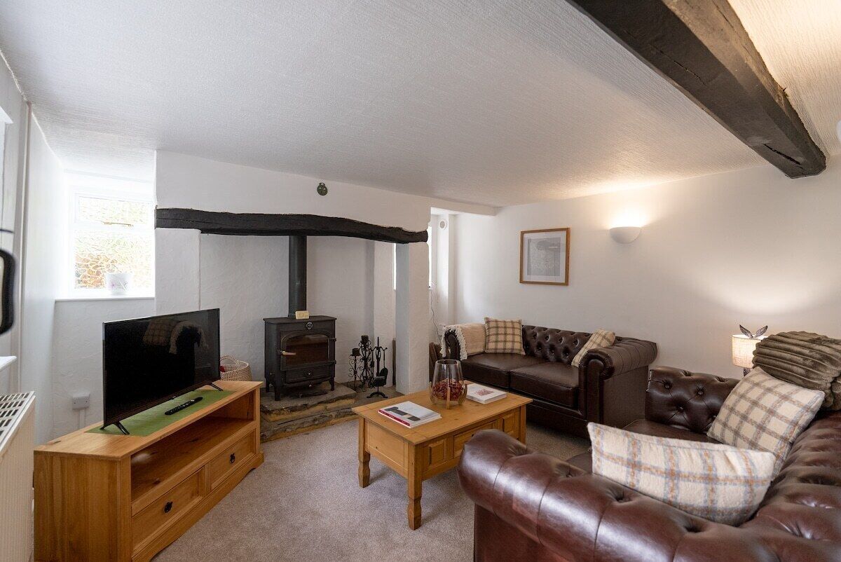 TV, fireplace, DVD player, books