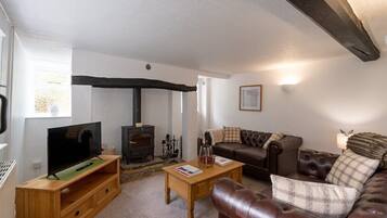 TV, fireplace, DVD player, books