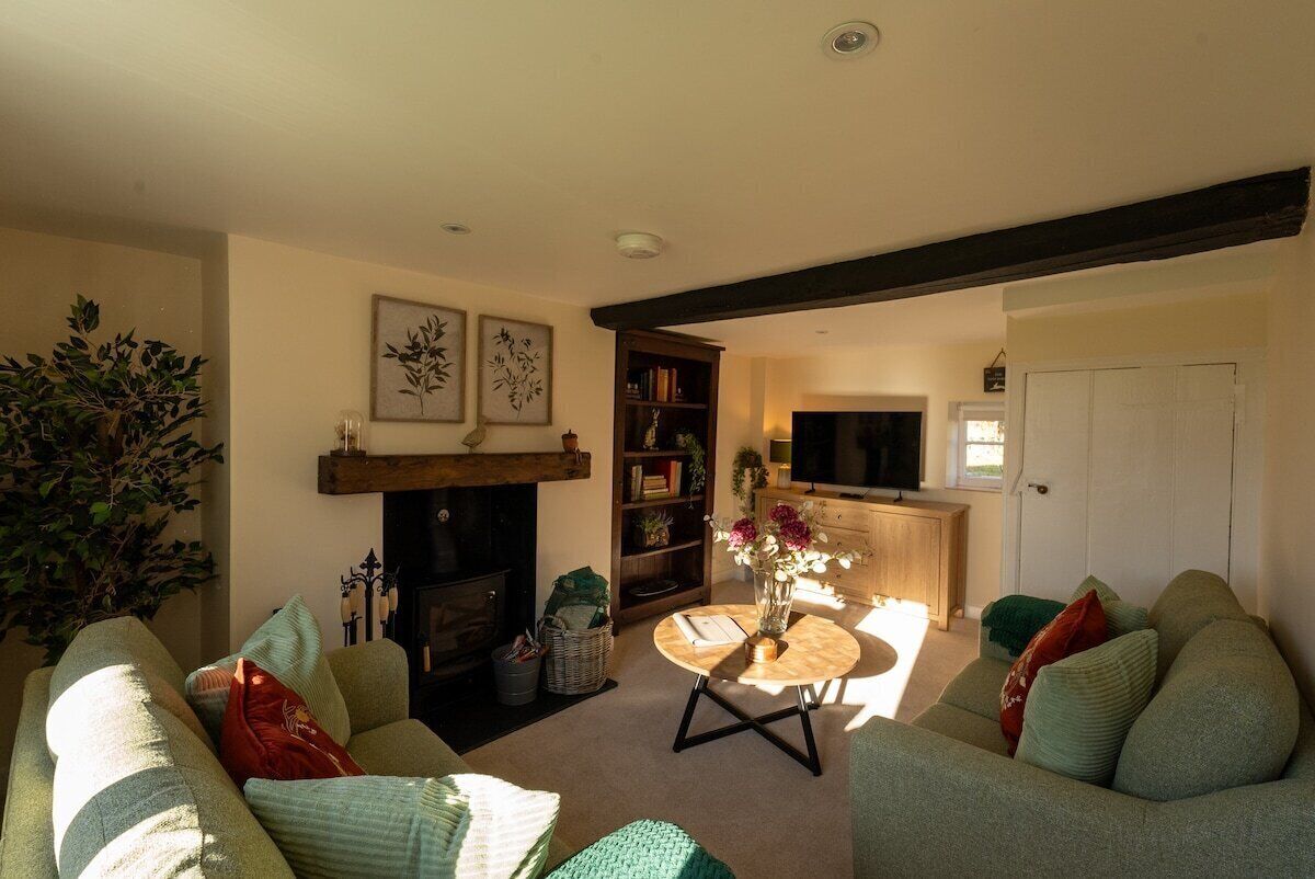 TV, fireplace, DVD player, books