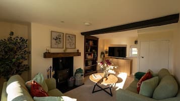 TV, fireplace, DVD player, books