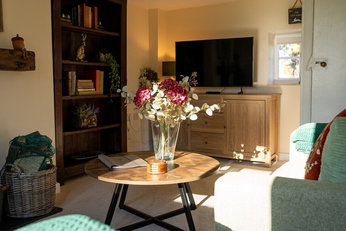 TV, fireplace, DVD player, books