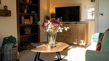 Fernseher, Kamin, DVD-Player, Bücher