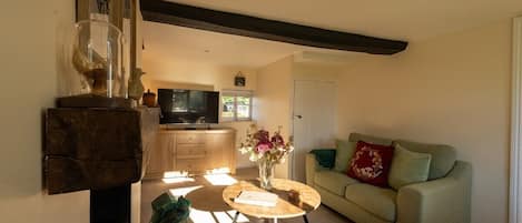TV, fireplace, DVD player, books