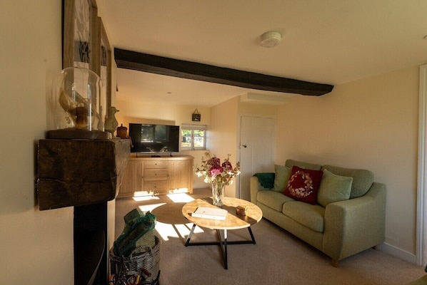 Fernseher, Kamin, DVD-Player, Bücher