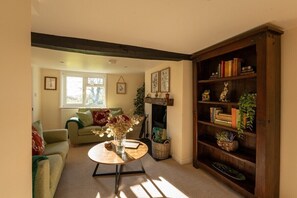 TV, fireplace, DVD player, books