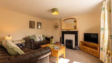 TV, fireplace, DVD player, books