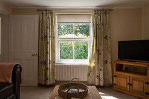 TV, fireplace, DVD player, books - Rose Cottage - Countryside View (Bransgore)