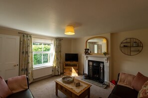TV, fireplace, DVD player, books
