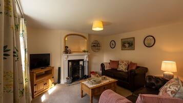 TV, fireplace, DVD player, books