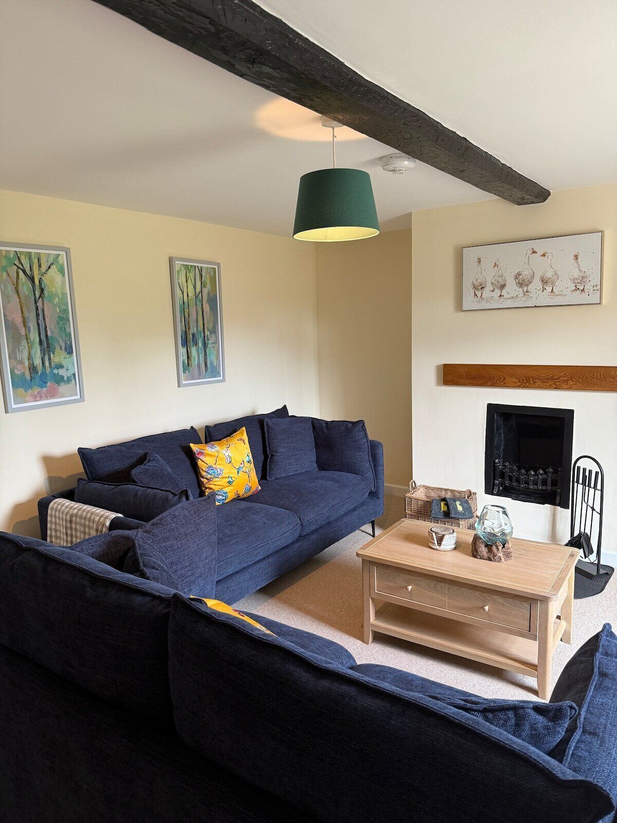 TV, fireplace, DVD player, books