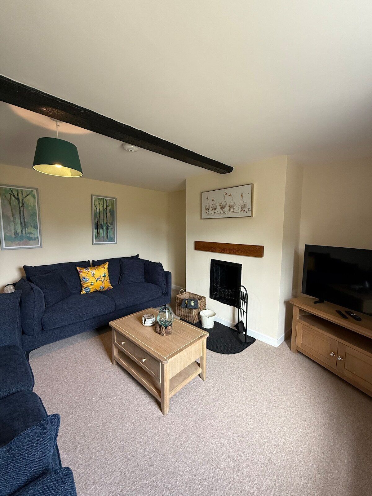 TV, fireplace, DVD player, books