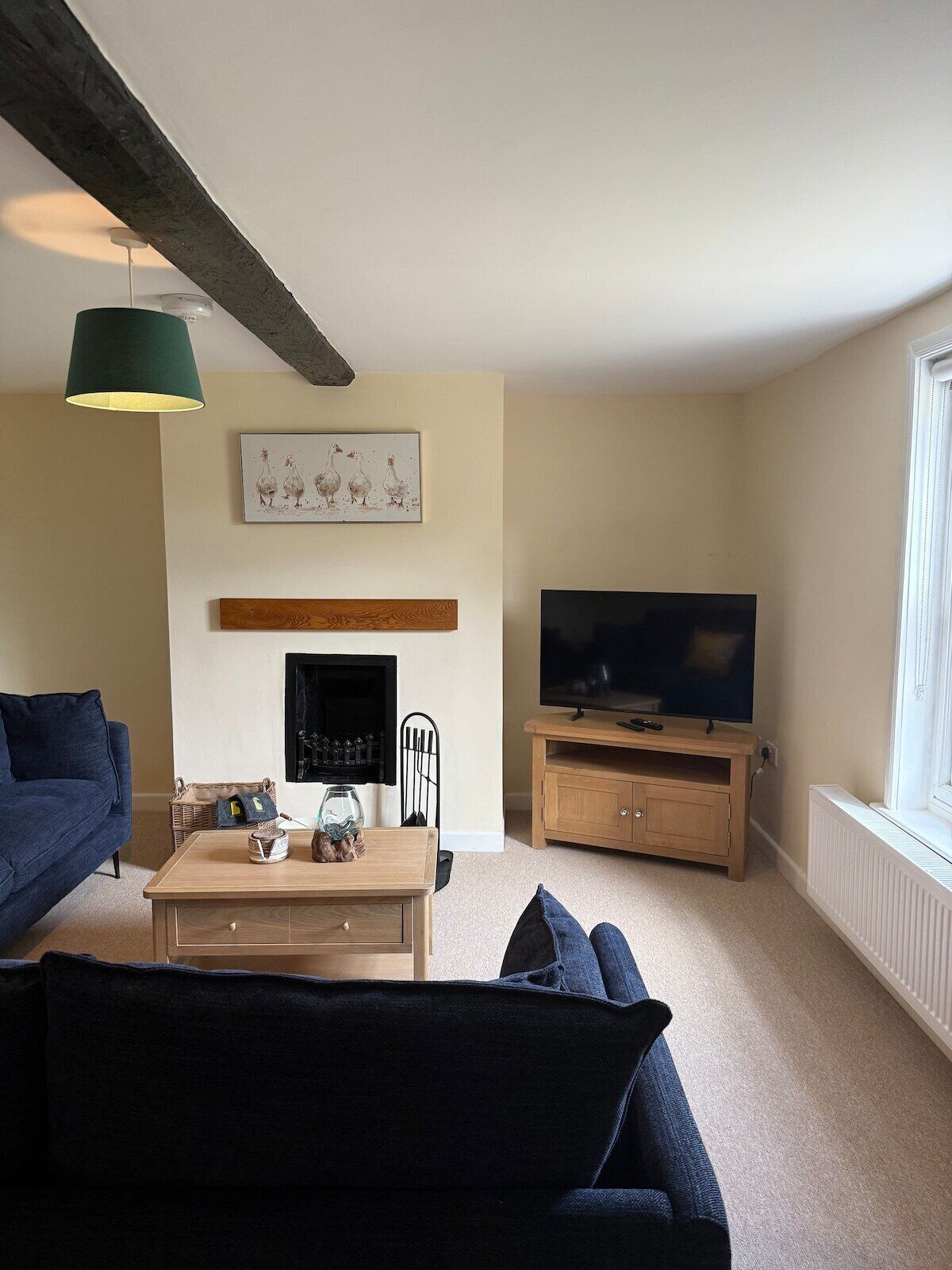 TV, fireplace, DVD player, books