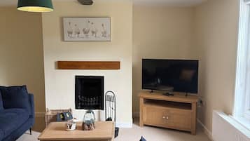 Fernseher, Kamin, DVD-Player, Bücher