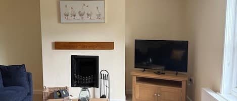 TV, fireplace, DVD player, books