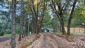 Área da propriedade