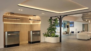 Un área de recepción moderna con un mostrador de madera, una planta grande en maceta y un espacio de espera con sofás blancos.