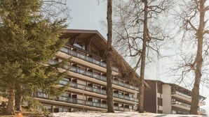 Apartment - Le Mont d Arbois S4 Sleeping Corner (Megeve)