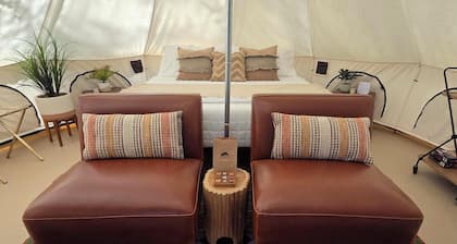 Glamping in the trees