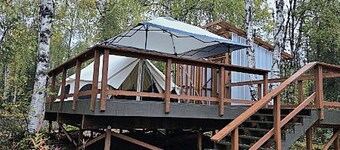 Glamping in the trees