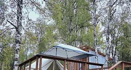 Glamping in the trees