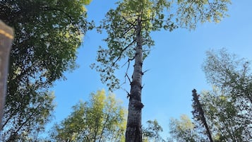 Sekalaista