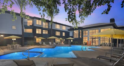 NEW! Central Relaxing 1BR Phoenix Retreat near Airport