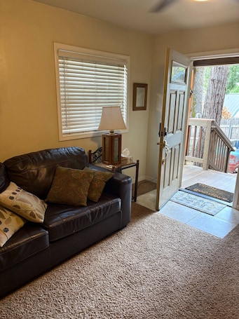 Smart TV, fireplace, DVD player, books