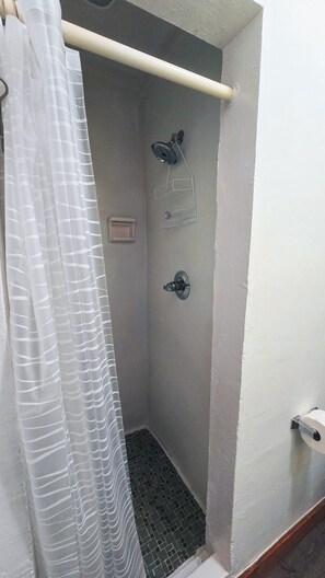 Serviettes fournies, savon, papier toilette
