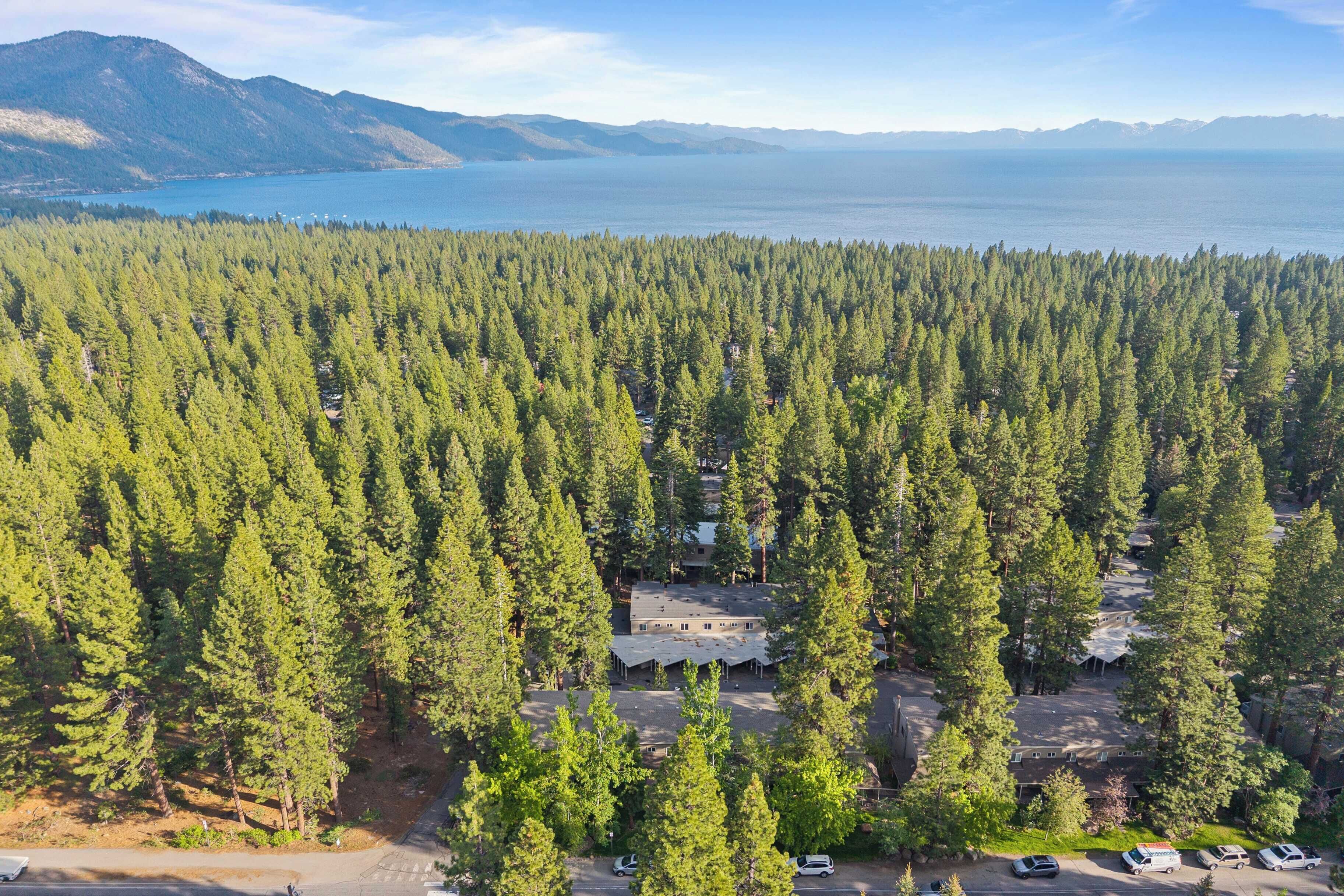 An aerial view of a forested area with a cabin complex surrounded by tall trees, a parking area, and a view of a large body of water and mountains in the distance.