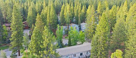 A multi-story building surrounded by dense forest, with a clear view of the surrounding mountains.