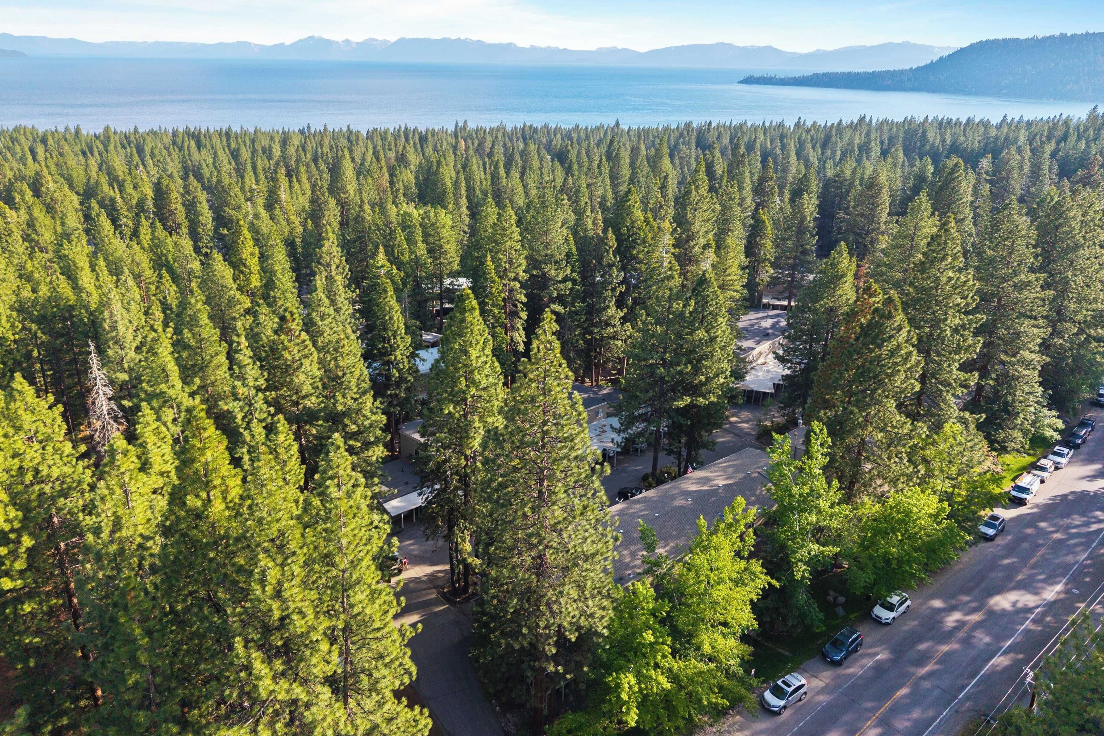 An aerial view of a forested area with a road, parked cars, and a small building.