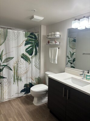 Hair dryer, towels, soap, shampoo