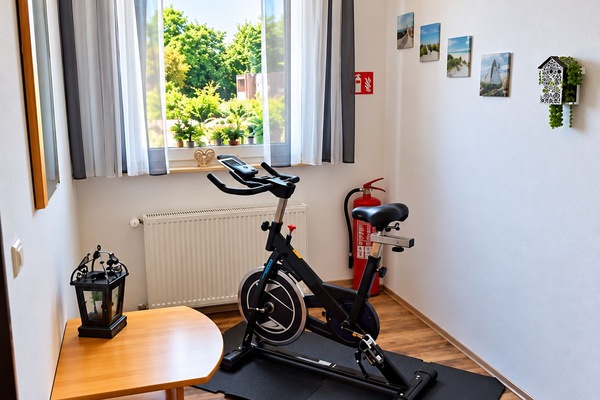 Heimtrainer in der Diele
