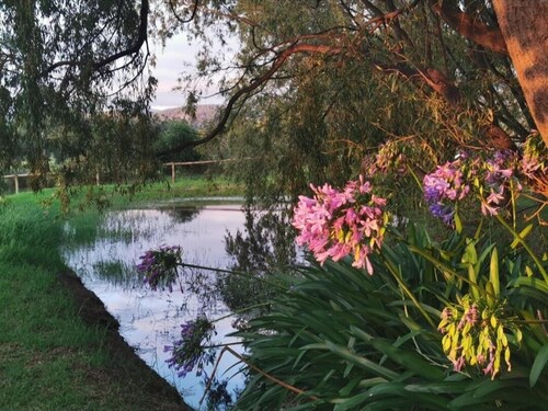 Gypsy Creek Winery - A Natural  Retreat