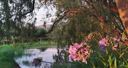 Gypsy Creek Winery - A Natural Retreat