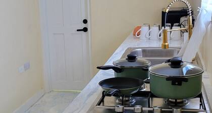 Beautiful apartment with AC in Saint George's