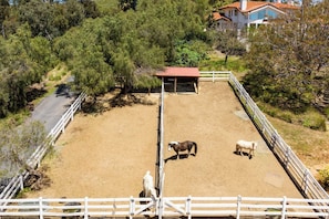House (Multiple Bedrooms) | Interior