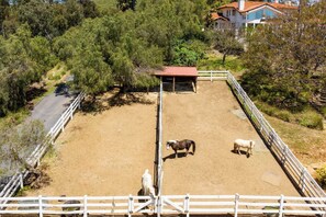 House (1 Bedroom) | Interior
