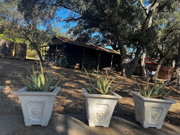 Property grounds