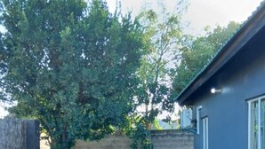 Un jardin avec une maison bleue, un arbre et des plantes en pot.